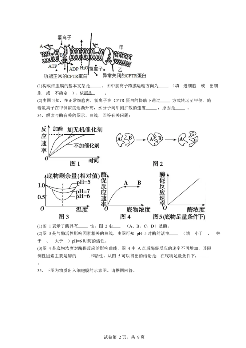 石嘴山市第一中学2025-2026学年高一上学期1月月考生物试卷_2026年02月高一试卷_260202宁夏回族自治区石嘴山市第一中学2025-2026学年高一上学期1月月考（全）