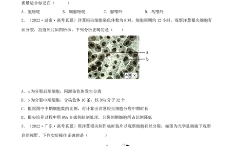 第10练细胞增殖（原卷版）_新高考复习资料_2023年新高考复习资料_一轮复习_2023年高考生物一轮复习小题多维练（新高考专用）