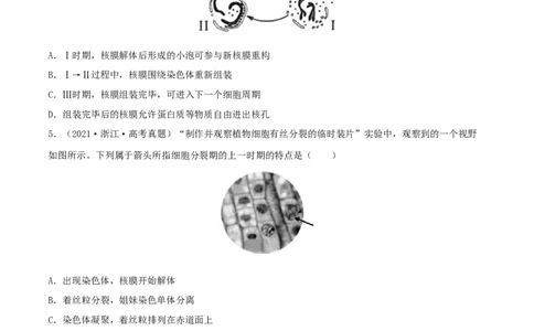 第10练细胞增殖（原卷版）_新高考复习资料_2023年新高考复习资料_一轮复习_2023年高考生物一轮复习小题多维练（新高考专用）