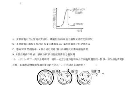 第10练细胞增殖（原卷版）_新高考复习资料_2023年新高考复习资料_一轮复习_2023年高考生物一轮复习小题多维练（新高考专用）