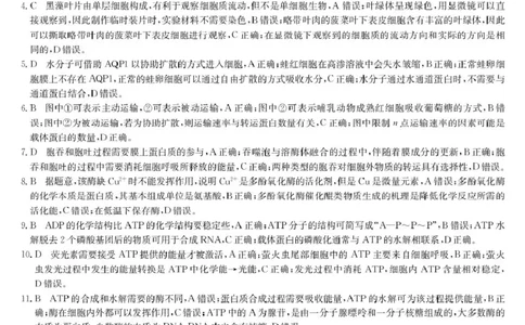 生物答案-高一质量检测（A）_2026年01月高一试卷_260114甘肃省白银市靖远县第一中学2025-2026学年高一上学期12月月考