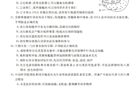 生物试卷-浙江省强基联盟2025-2026学年高一上学期12月联考_2025年12月高一试卷_251230浙江省强基联盟2025-2026学年高一上学期12月联考（全）