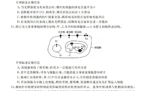 生物试卷-浙江省强基联盟2025-2026学年高一上学期12月联考_2025年12月高一试卷_251230浙江省强基联盟2025-2026学年高一上学期12月联考（全）