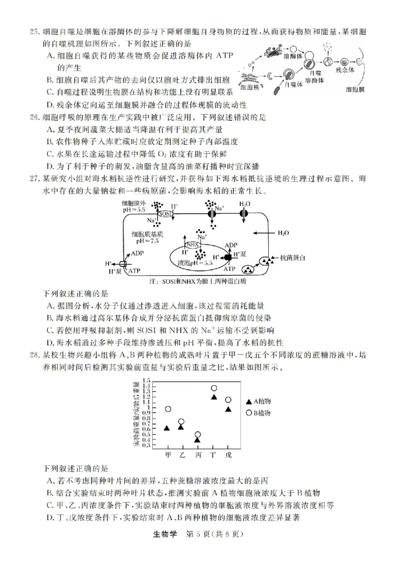 生物试卷-浙江省强基联盟2025-2026学年高一上学期12月联考_2025年12月高一试卷_251230浙江省强基联盟2025-2026学年高一上学期12月联考（全）