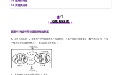 第11讲细胞代谢综合分析（练习）（解析版）_2025年新高考资料_一轮复习_2025年高考生物一轮复习讲练测（新教材新高考）