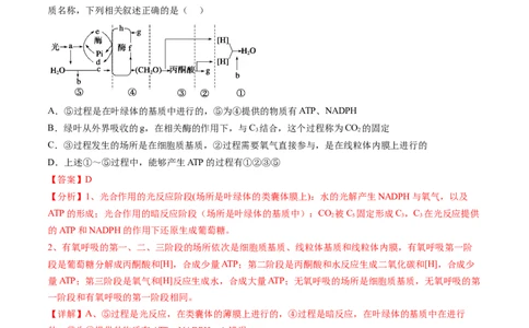第11讲细胞代谢综合分析（练习）（解析版）_2025年新高考资料_一轮复习_2025年高考生物一轮复习讲练测（新教材新高考）