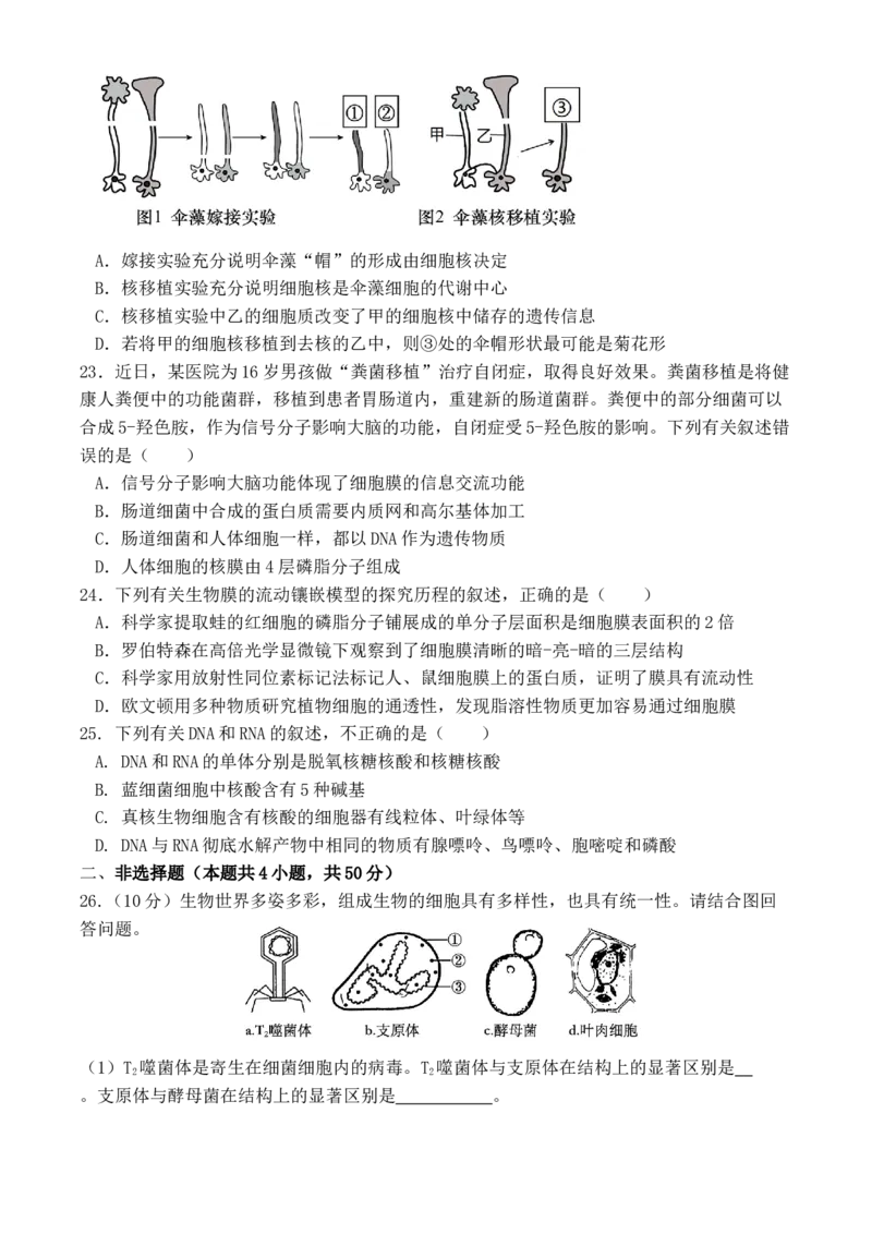 福建省厦泉五校2025-2026学年高一上学期期中联考试题生物Word版含答案_2025年12月高一试卷_251211福建省厦泉五校2025-2026学年高一上学期期中联考试题