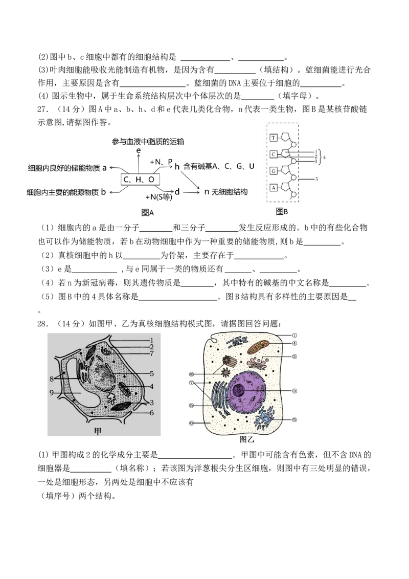 福建省厦泉五校2025-2026学年高一上学期期中联考试题生物Word版含答案_2025年12月高一试卷_251211福建省厦泉五校2025-2026学年高一上学期期中联考试题