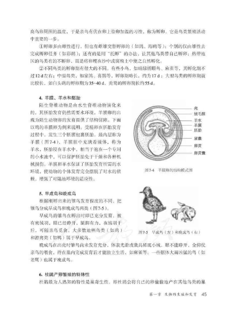 生物学八年级下册教师用书_电子课本_初中教学用书_人教版