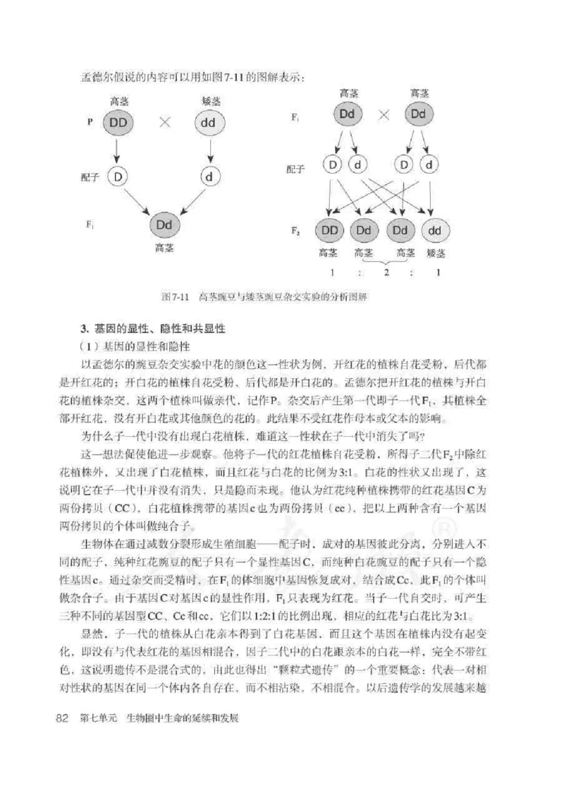 生物学八年级下册教师用书_电子课本_初中教学用书_人教版