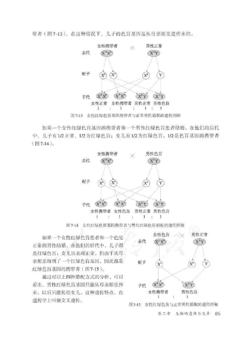 生物学八年级下册教师用书_电子课本_初中教学用书_人教版