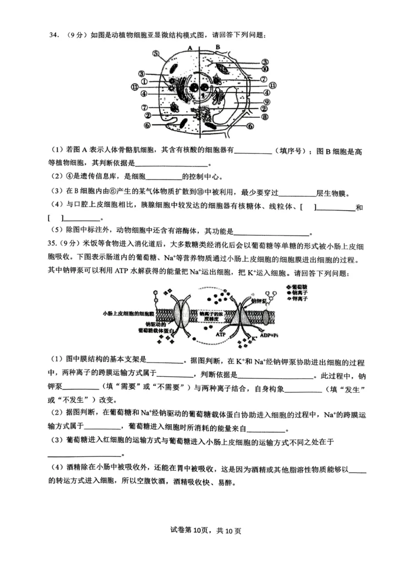 生物+昆八中高一上期中试卷及答案（2025-2026）_2025年11月高一试卷_251119云南省昆明市第八中学2025-2026学年度高一上学期期中考（全）