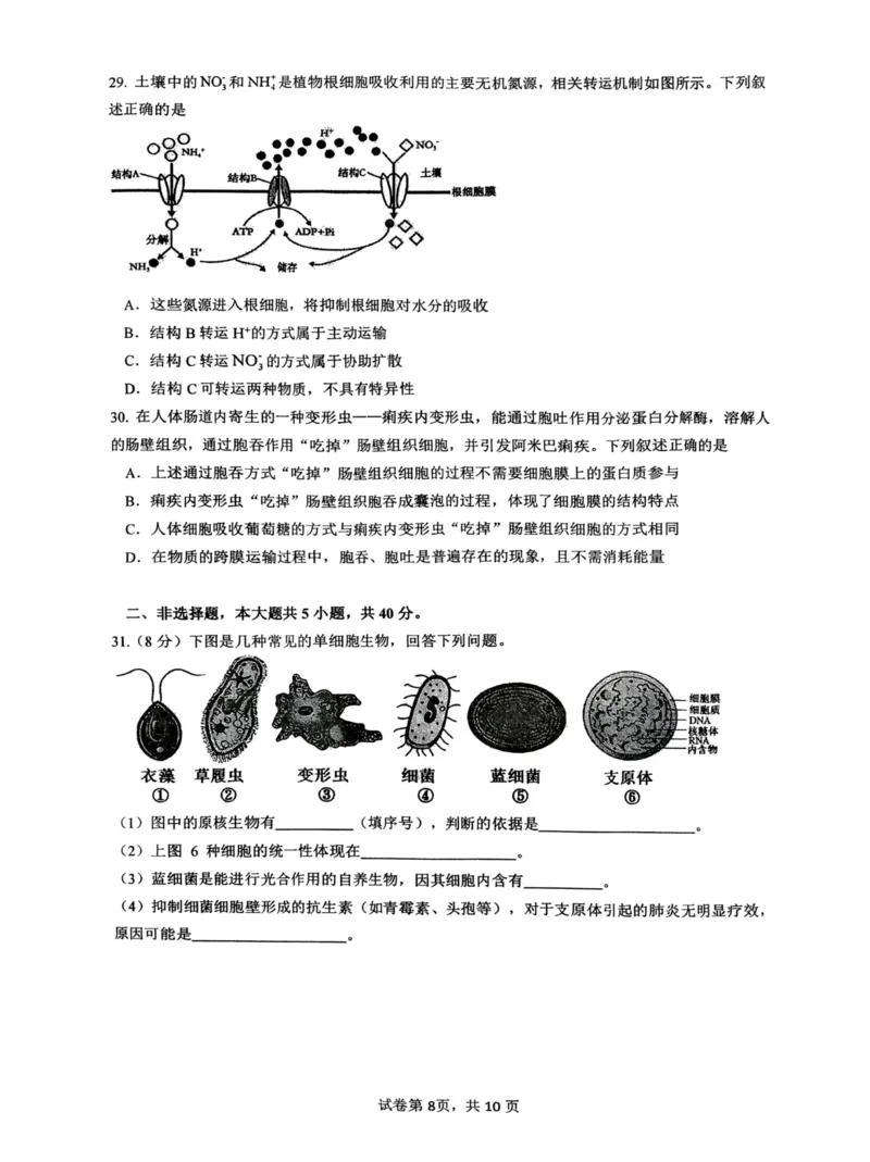 生物+昆八中高一上期中试卷及答案（2025-2026）_2025年11月高一试卷_251119云南省昆明市第八中学2025-2026学年度高一上学期期中考（全）