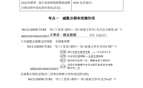 第11讲减数分裂和受精作用_新高考复习资料_2024年新高考复习资料_一轮复习资料_完2024生物步步高大一轮复习（课件+讲义）_2024年高考生物一轮复习讲义（新人教版）_另附1套Word版题库