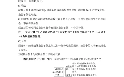 第11讲减数分裂和受精作用_新高考复习资料_2024年新高考复习资料_一轮复习资料_完2024生物步步高大一轮复习（课件+讲义）_2024年高考生物一轮复习讲义（新人教版）_另附1套Word版题库