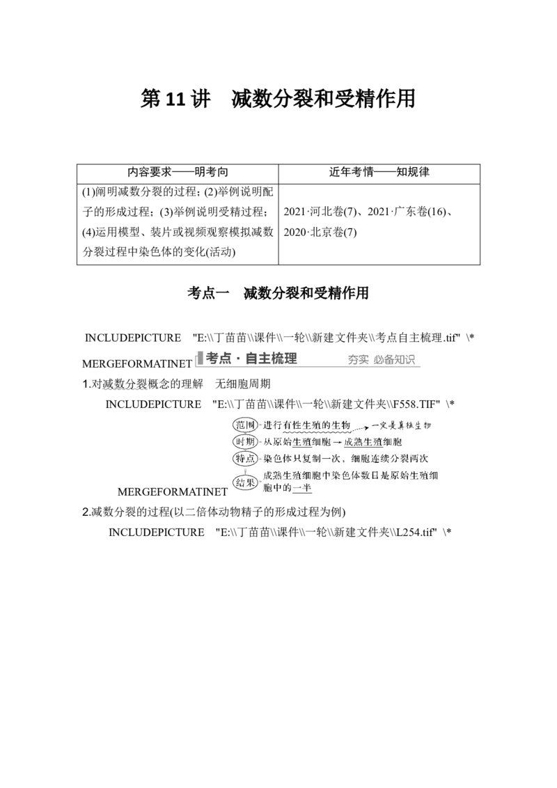 第11讲减数分裂和受精作用_新高考复习资料_2024年新高考复习资料_一轮复习资料_完2024生物步步高大一轮复习（课件+讲义）_2024年高考生物一轮复习讲义（新人教版）_另附1套Word版题库