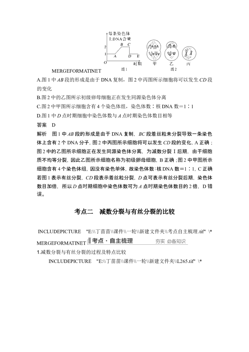 第11讲减数分裂和受精作用_新高考复习资料_2024年新高考复习资料_一轮复习资料_完2024生物步步高大一轮复习（课件+讲义）_2024年高考生物一轮复习讲义（新人教版）_另附1套Word版题库