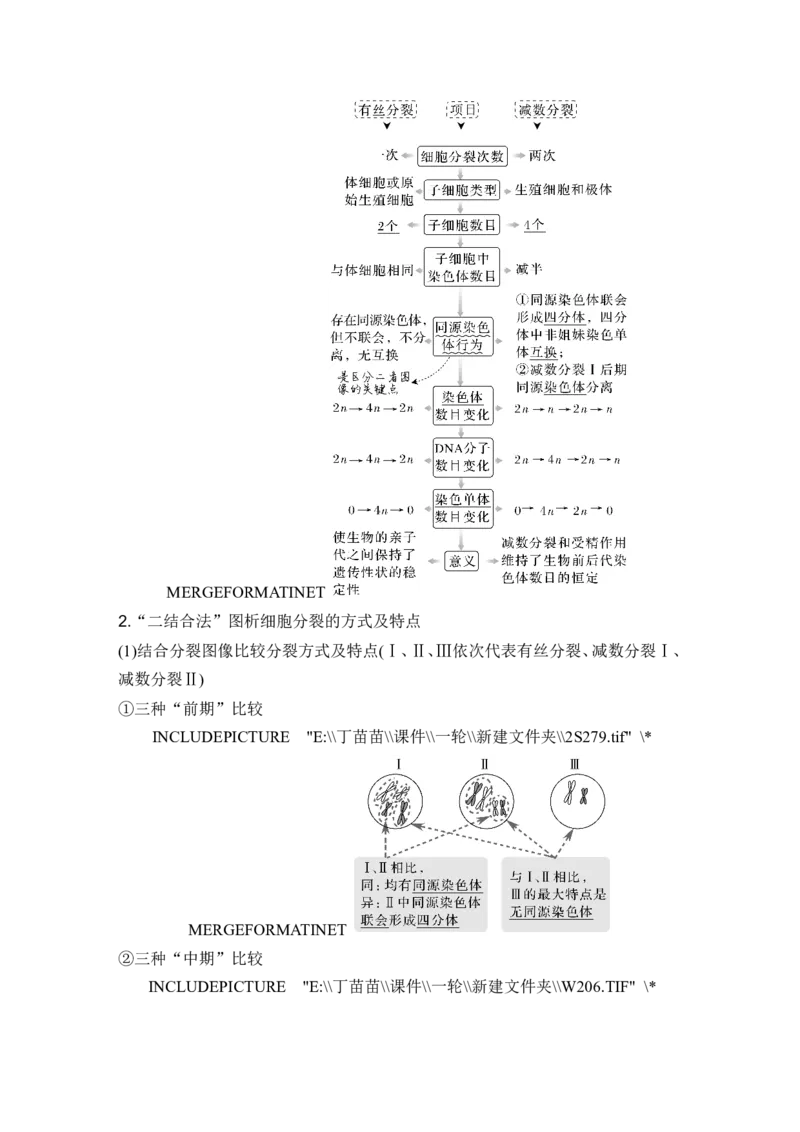 第11讲减数分裂和受精作用_新高考复习资料_2024年新高考复习资料_一轮复习资料_完2024生物步步高大一轮复习（课件+讲义）_2024年高考生物一轮复习讲义（新人教版）_另附1套Word版题库