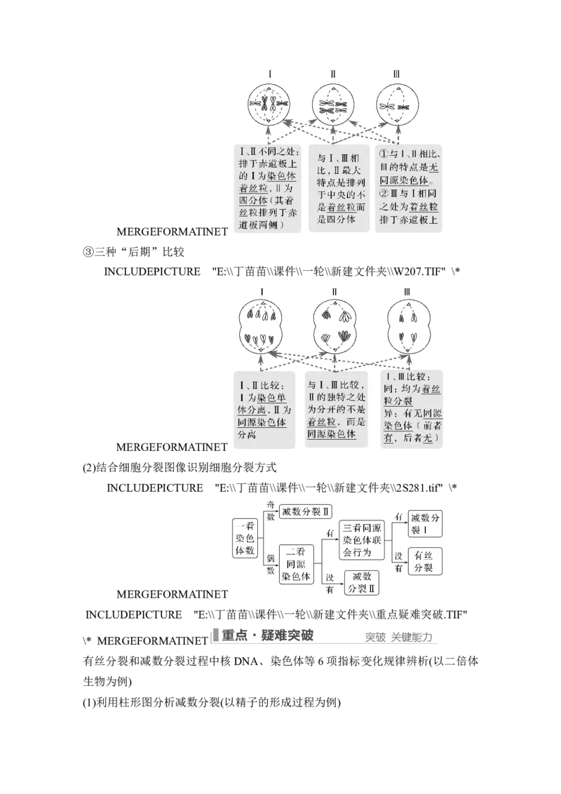 第11讲减数分裂和受精作用_新高考复习资料_2024年新高考复习资料_一轮复习资料_完2024生物步步高大一轮复习（课件+讲义）_2024年高考生物一轮复习讲义（新人教版）_另附1套Word版题库