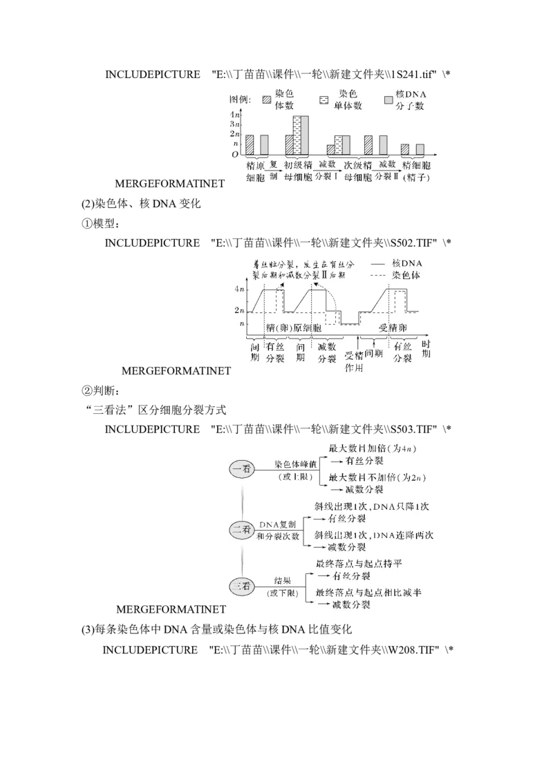 第11讲减数分裂和受精作用_新高考复习资料_2024年新高考复习资料_一轮复习资料_完2024生物步步高大一轮复习（课件+讲义）_2024年高考生物一轮复习讲义（新人教版）_另附1套Word版题库