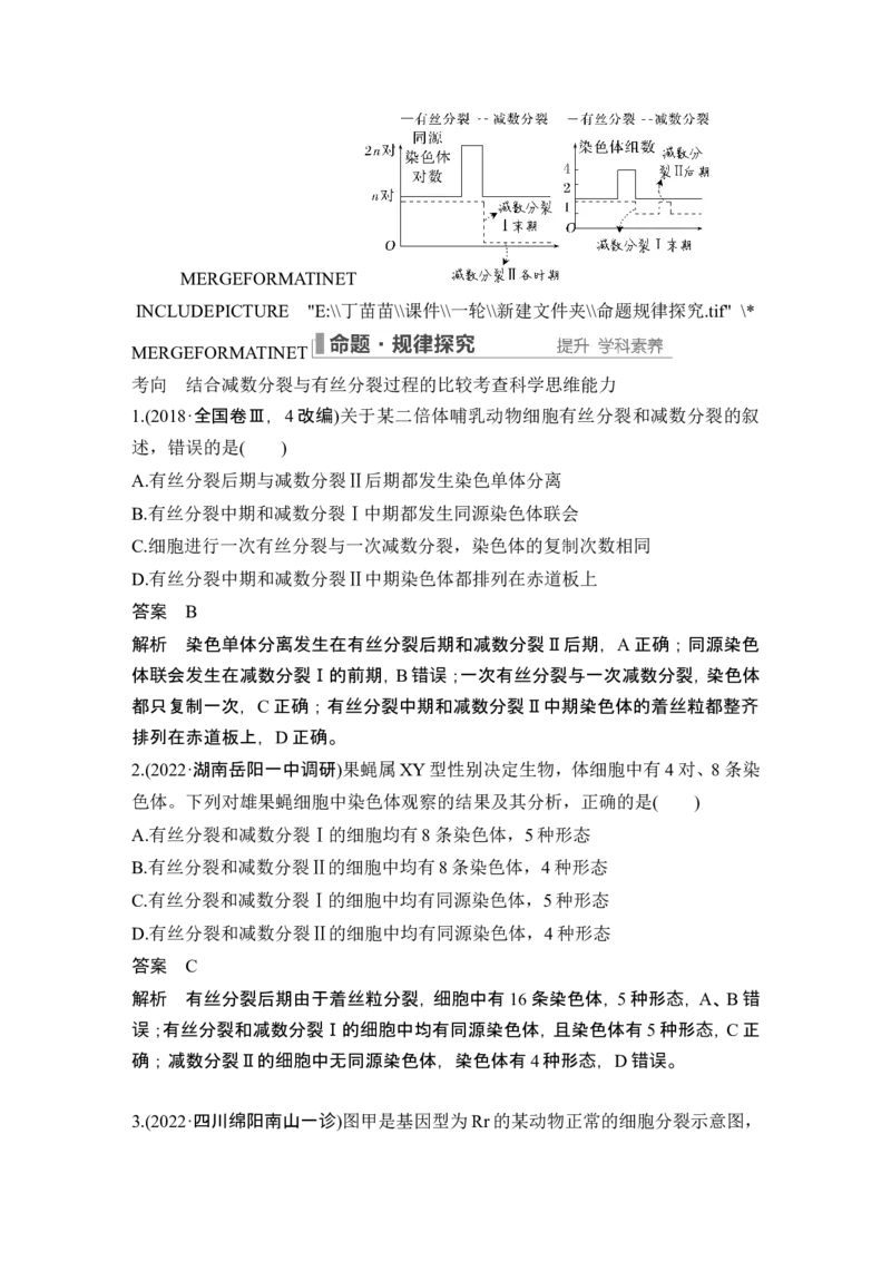 第11讲减数分裂和受精作用_新高考复习资料_2024年新高考复习资料_一轮复习资料_完2024生物步步高大一轮复习（课件+讲义）_2024年高考生物一轮复习讲义（新人教版）_另附1套Word版题库