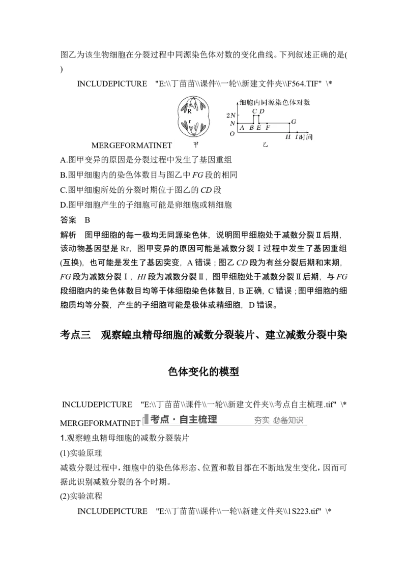 第11讲减数分裂和受精作用_新高考复习资料_2024年新高考复习资料_一轮复习资料_完2024生物步步高大一轮复习（课件+讲义）_2024年高考生物一轮复习讲义（新人教版）_另附1套Word版题库