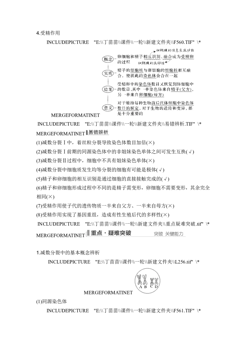 第11讲减数分裂和受精作用_新高考复习资料_2024年新高考复习资料_一轮复习资料_完2024生物步步高大一轮复习（课件+讲义）_2024年高考生物一轮复习讲义（新人教版）_另附1套Word版题库
