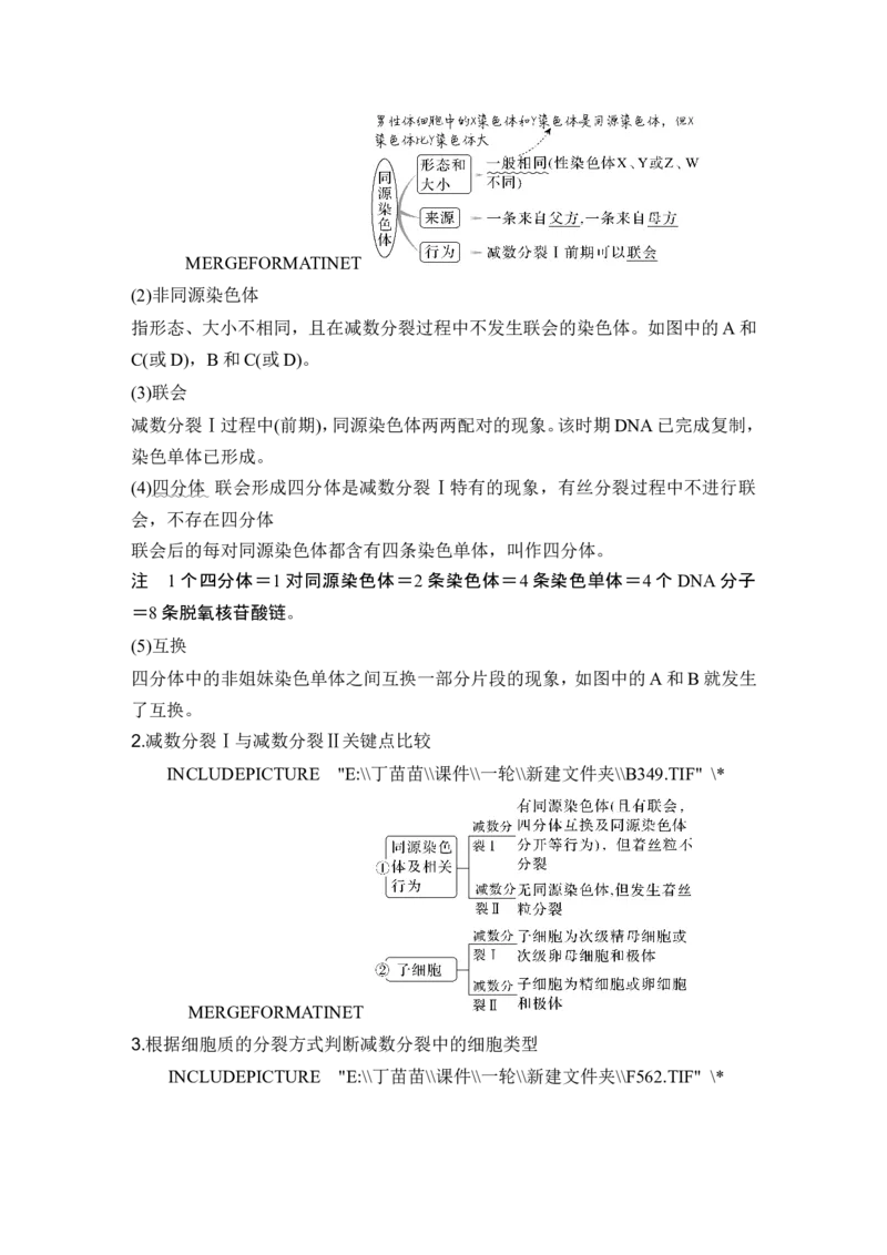 第11讲减数分裂和受精作用_新高考复习资料_2024年新高考复习资料_一轮复习资料_完2024生物步步高大一轮复习（课件+讲义）_2024年高考生物一轮复习讲义（新人教版）_另附1套Word版题库