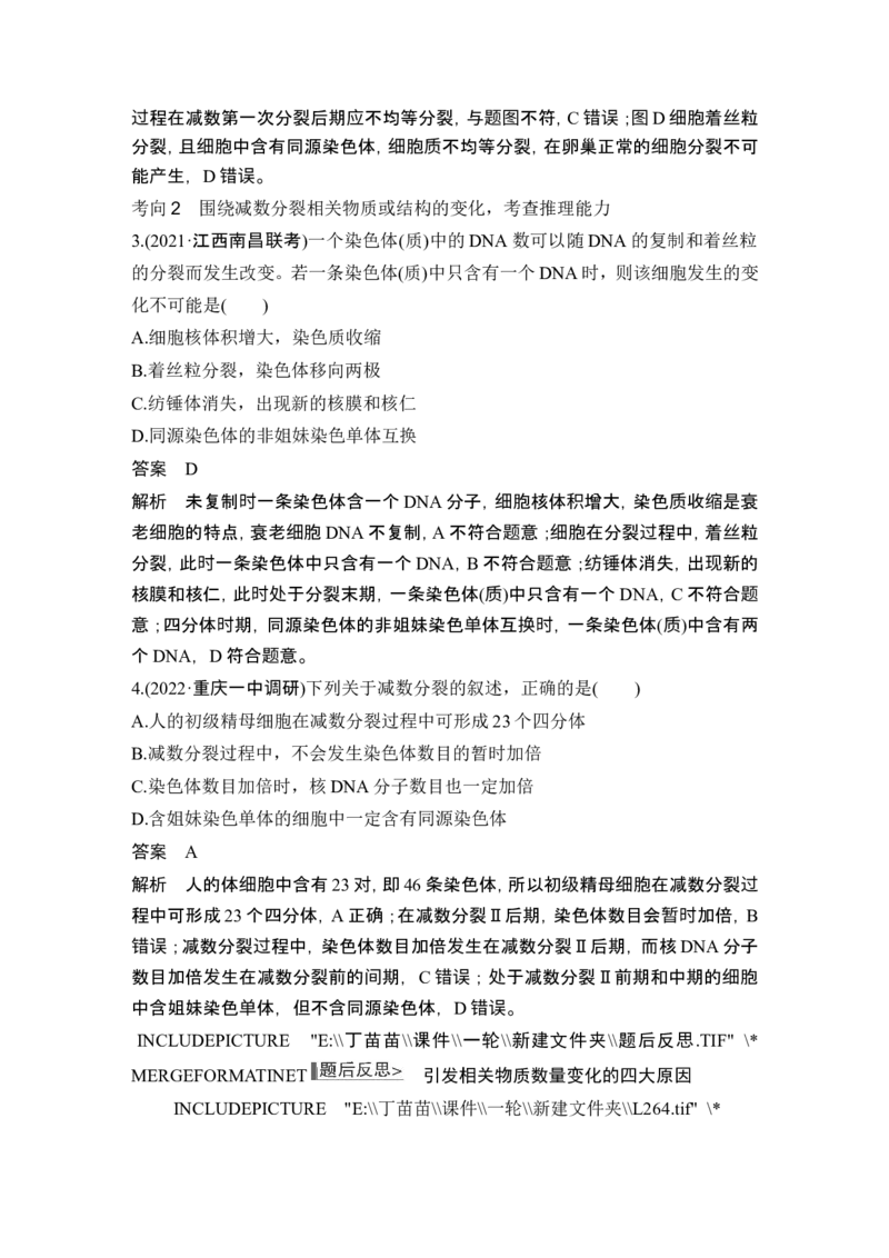 第11讲减数分裂和受精作用_新高考复习资料_2024年新高考复习资料_一轮复习资料_完2024生物步步高大一轮复习（课件+讲义）_2024年高考生物一轮复习讲义（新人教版）_另附1套Word版题库