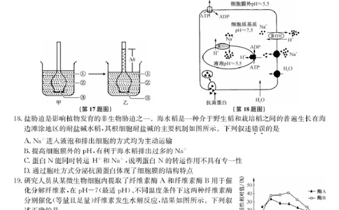 生物-高一质量检测（A）_2026年01月高一试卷_260114甘肃省白银市靖远县第一中学2025-2026学年高一上学期12月月考