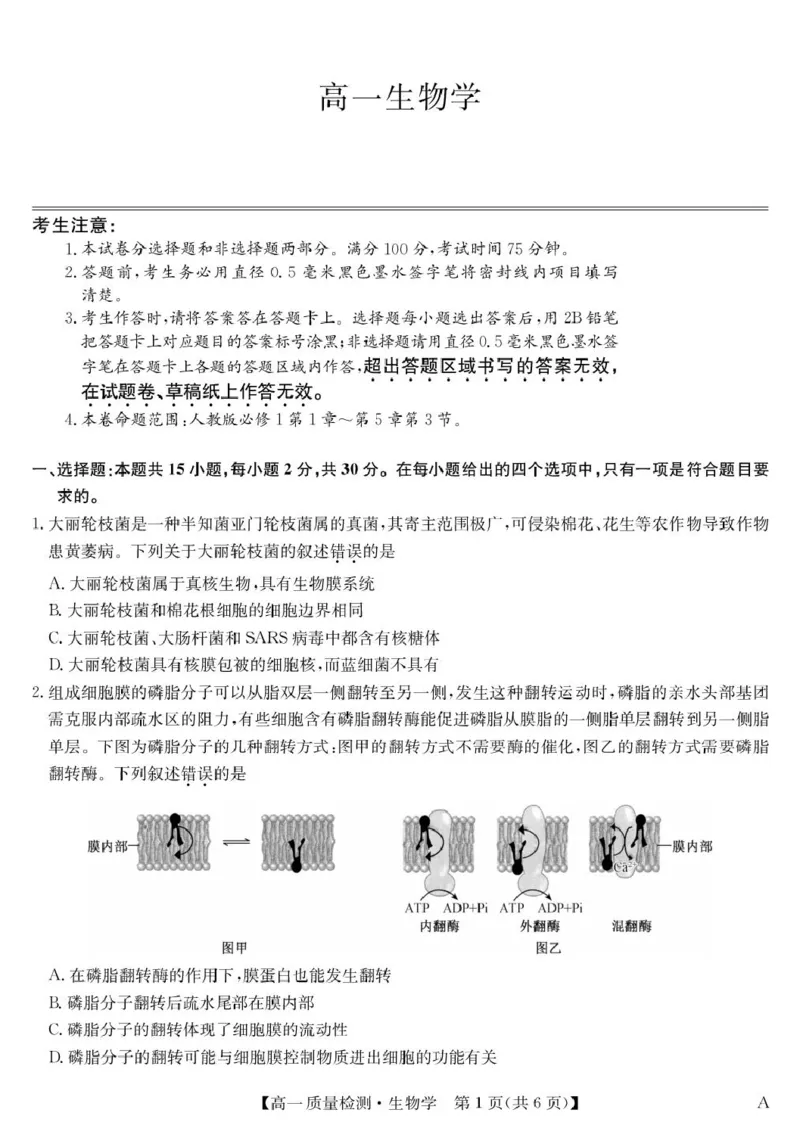 生物-高一质量检测（A）_2026年01月高一试卷_260114甘肃省白银市靖远县第一中学2025-2026学年高一上学期12月月考