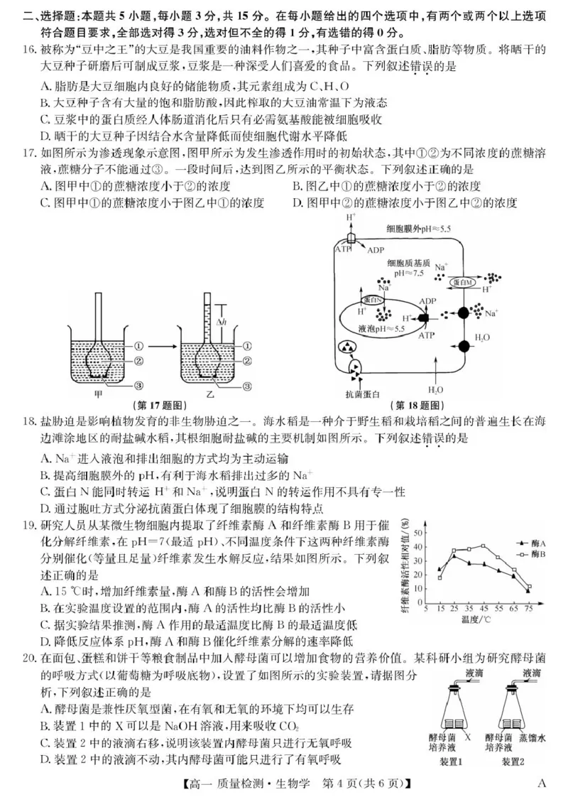 生物-高一质量检测（A）_2026年01月高一试卷_260114甘肃省白银市靖远县第一中学2025-2026学年高一上学期12月月考