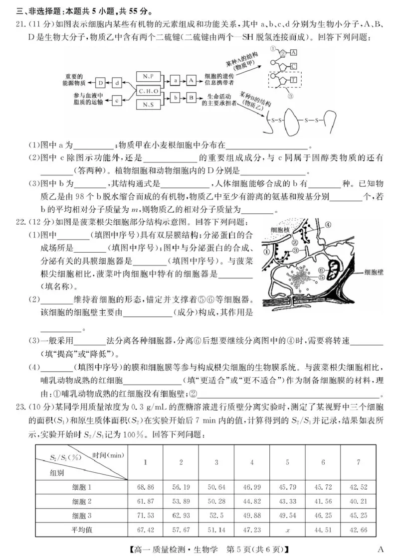生物-高一质量检测（A）_2026年01月高一试卷_260114甘肃省白银市靖远县第一中学2025-2026学年高一上学期12月月考