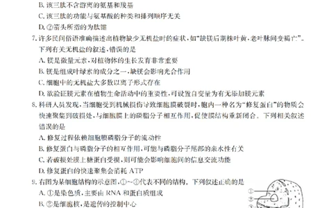 生物学_扫描版_2026年02月高一试卷_260211山西省多校2025-2026学年高一上学期1月月考（全）