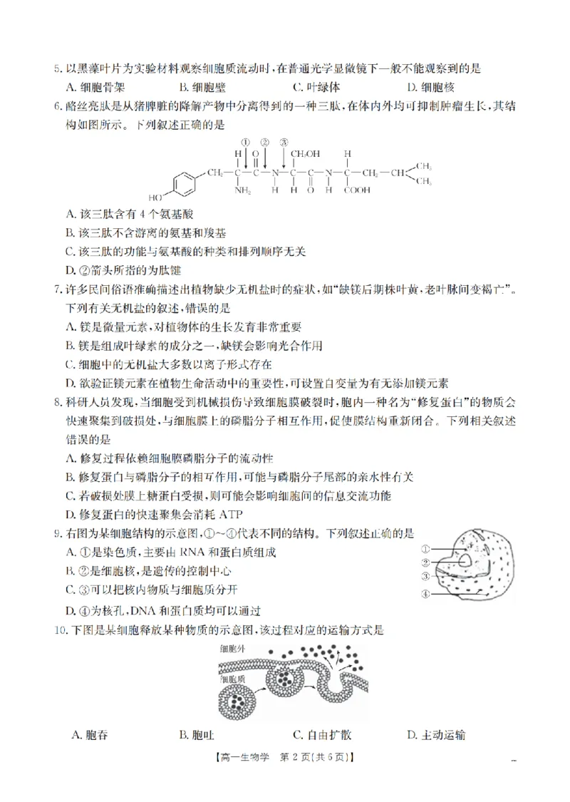 生物学_扫描版_2026年02月高一试卷_260211山西省多校2025-2026学年高一上学期1月月考（全）