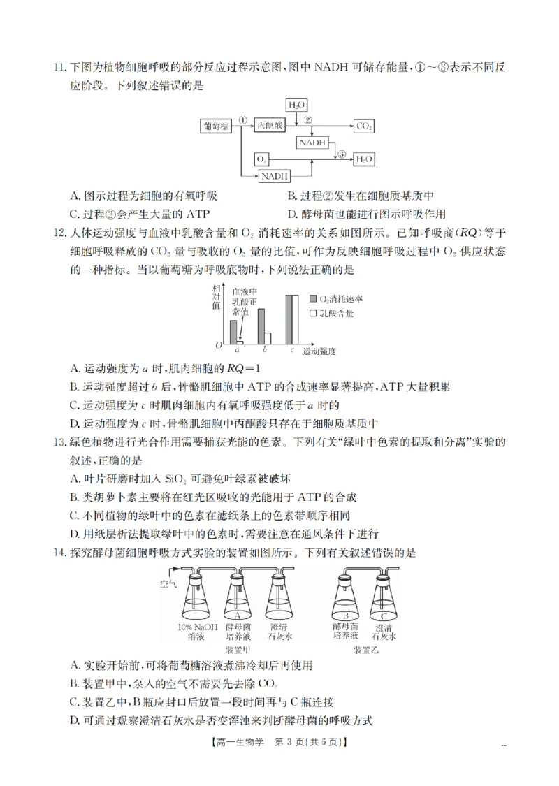 生物学_扫描版_2026年02月高一试卷_260211山西省多校2025-2026学年高一上学期1月月考（全）