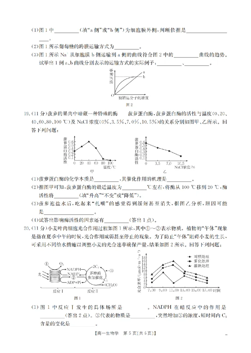 生物学_扫描版_2026年02月高一试卷_260211山西省多校2025-2026学年高一上学期1月月考（全）
