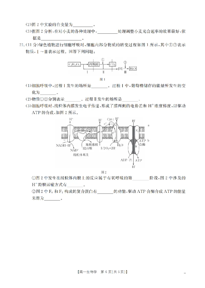 生物学_扫描版_2026年02月高一试卷_260211山西省多校2025-2026学年高一上学期1月月考（全）