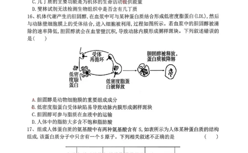 生物试题-大连市滨城高中联盟2025-2026学年度上学期高一10月份联考（含答案）_2025年10月高一试卷_251018辽宁省大连市滨城高中联盟2025-2026学年度上学期高一10月份联考（全）