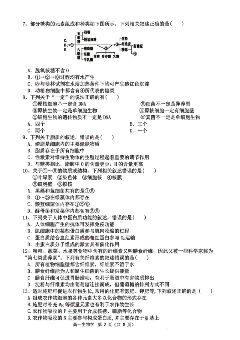 生物试题-大连市滨城高中联盟2025-2026学年度上学期高一10月份联考（含答案）_2025年10月高一试卷_251018辽宁省大连市滨城高中联盟2025-2026学年度上学期高一10月份联考（全）