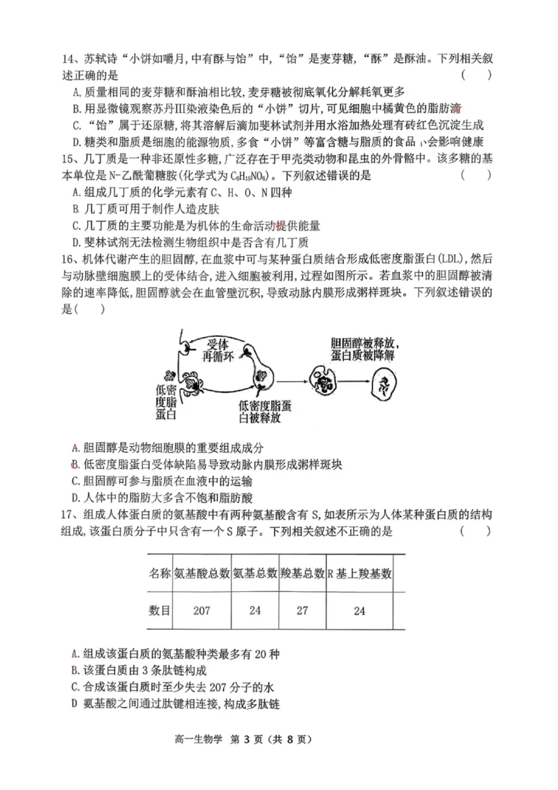 生物试题-大连市滨城高中联盟2025-2026学年度上学期高一10月份联考（含答案）_2025年10月高一试卷_251018辽宁省大连市滨城高中联盟2025-2026学年度上学期高一10月份联考（全）