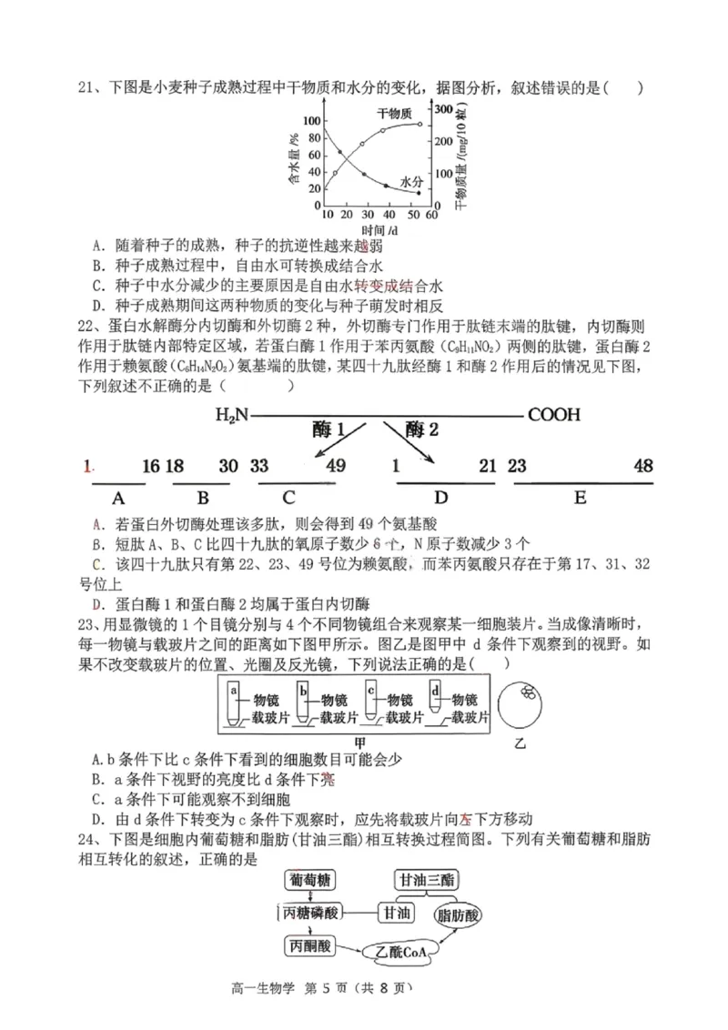 生物试题-大连市滨城高中联盟2025-2026学年度上学期高一10月份联考（含答案）_2025年10月高一试卷_251018辽宁省大连市滨城高中联盟2025-2026学年度上学期高一10月份联考（全）