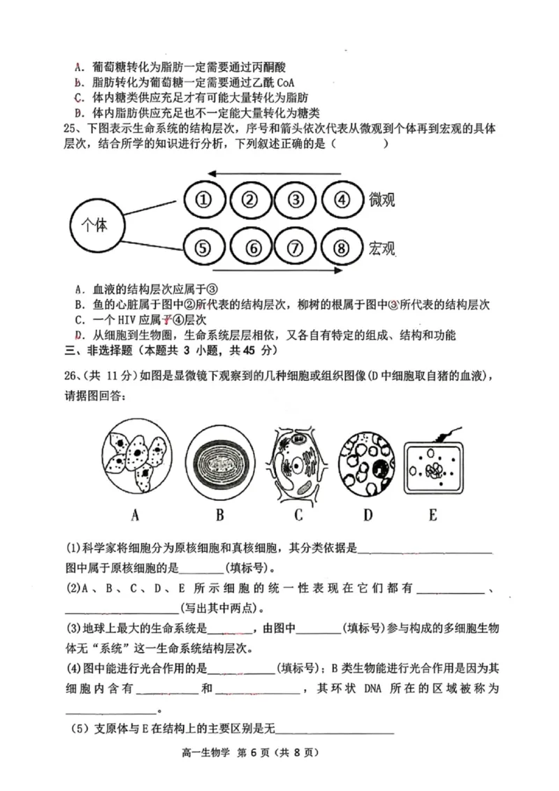 生物试题-大连市滨城高中联盟2025-2026学年度上学期高一10月份联考（含答案）_2025年10月高一试卷_251018辽宁省大连市滨城高中联盟2025-2026学年度上学期高一10月份联考（全）