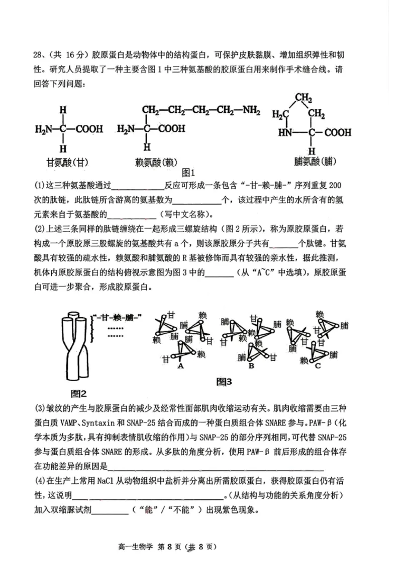 生物试题-大连市滨城高中联盟2025-2026学年度上学期高一10月份联考（含答案）_2025年10月高一试卷_251018辽宁省大连市滨城高中联盟2025-2026学年度上学期高一10月份联考（全）