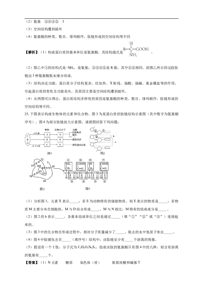 白城实验高中2025-2026学年度高一上学期第一次月考生物试卷解析_2025年10月高一试卷_251025吉林省白城市实验高级中学2025-2026学年高一上学期10月月考