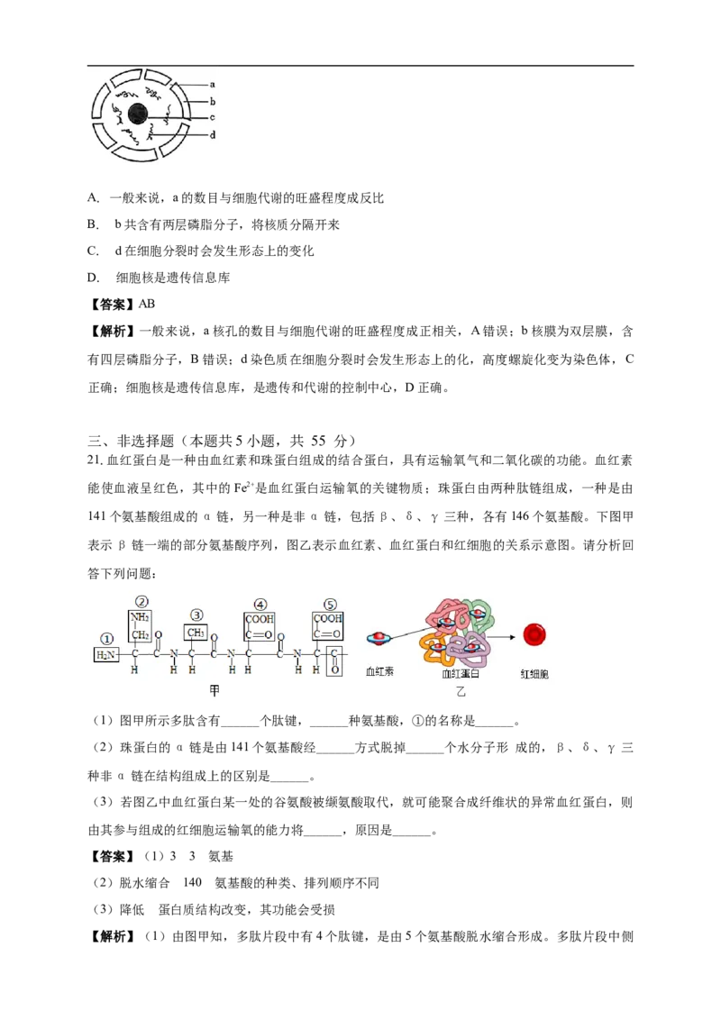 白城实验高中2025-2026学年度高一上学期第一次月考生物试卷解析_2025年10月高一试卷_251025吉林省白城市实验高级中学2025-2026学年高一上学期10月月考