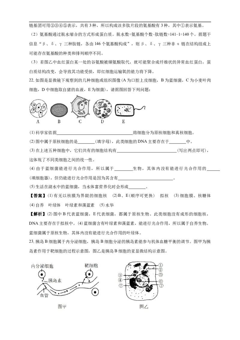 白城实验高中2025-2026学年度高一上学期第一次月考生物试卷解析_2025年10月高一试卷_251025吉林省白城市实验高级中学2025-2026学年高一上学期10月月考