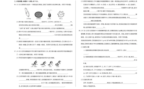 生物学安徽高一年级十月调研考试_2025年10月高一试卷_251022天一大联考&middot;安徽省2025-2026学年上学期高一年级10月调研考试（全）