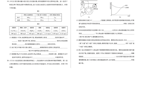 生物学安徽高一年级十月调研考试_2025年10月高一试卷_251022天一大联考&middot;安徽省2025-2026学年上学期高一年级10月调研考试（全）