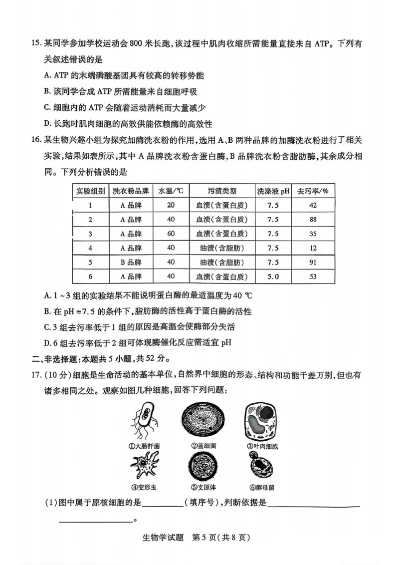 生物试卷-2025-2026学年河南天一大联考高一年级12月阶段性诊断_2025年12月高一试卷_251220河南省天一大联考2025-2026学年高一上学期12月阶段性检测